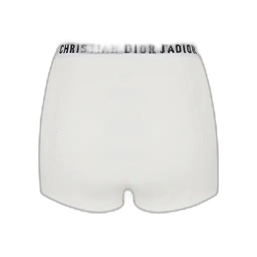 Briefs