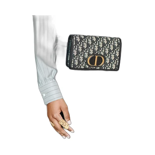 2-In-1 30 Montaigne Pouch