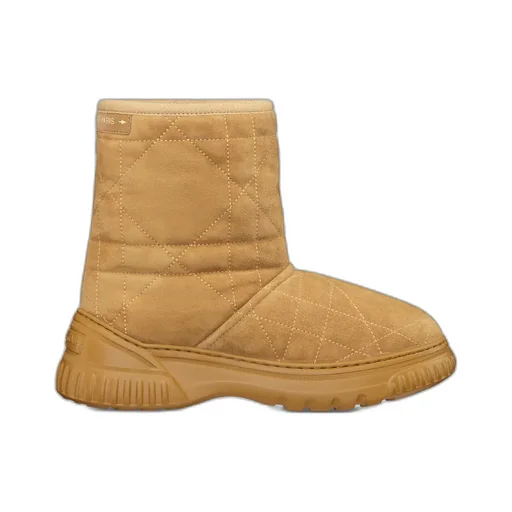 Dior Frost Ankle Boot