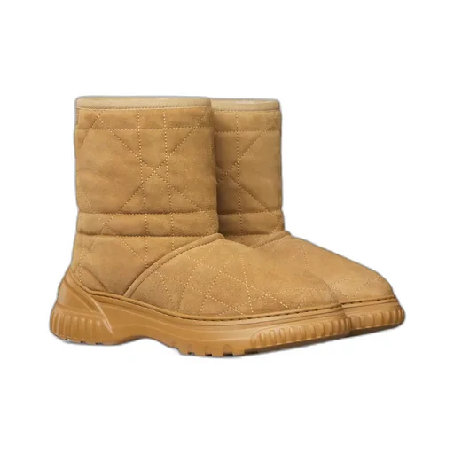 Dior Frost Ankle Boot