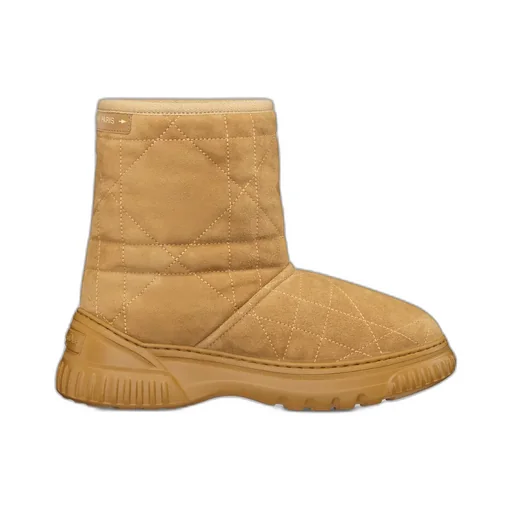 Dior Frost Ankle Boot