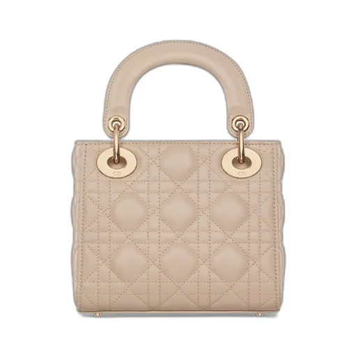 Mini Lady Dior Bag