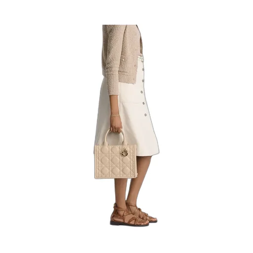 Small Dior Book Tote
