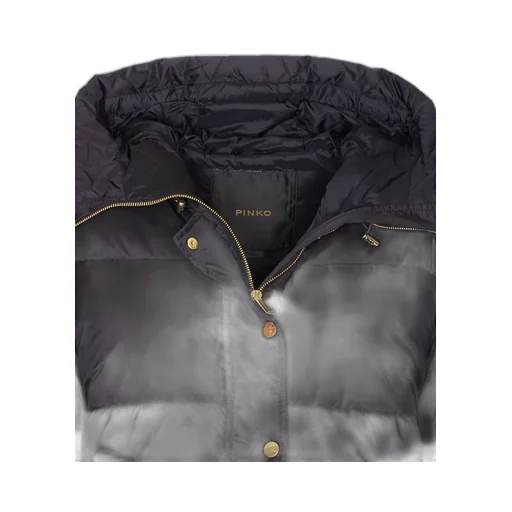 Pinko Hooded Down Jacket