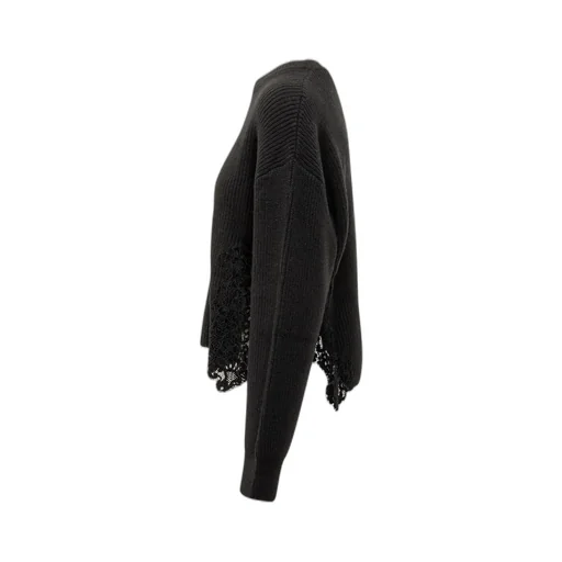 Pinko Lace-Appliqué Crewneck Jumper