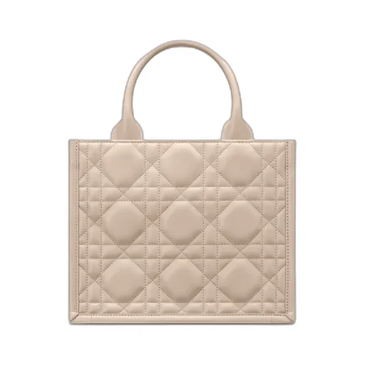 Small Dior Book Tote