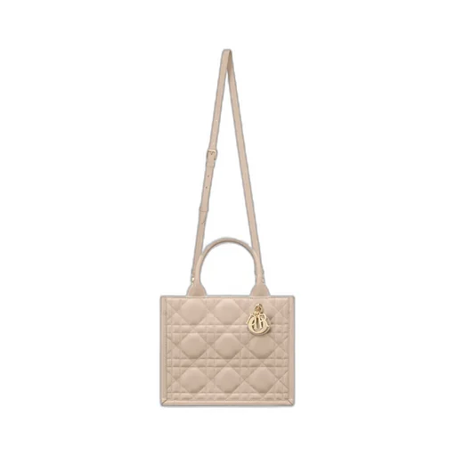 Small Dior Book Tote