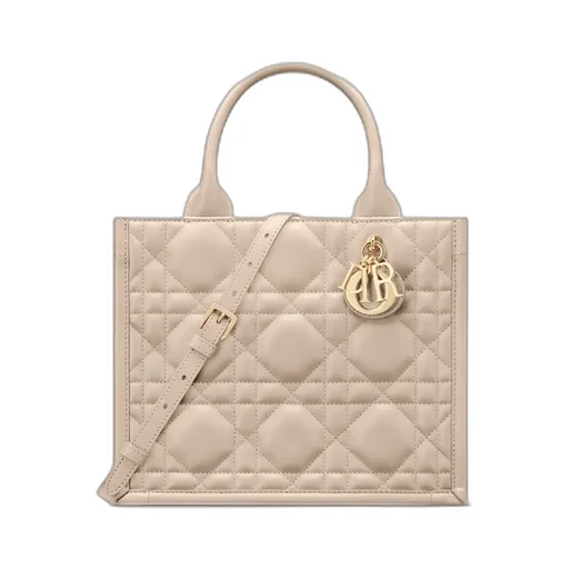 Small Dior Book Tote