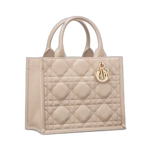 Small Dior Book Tote
