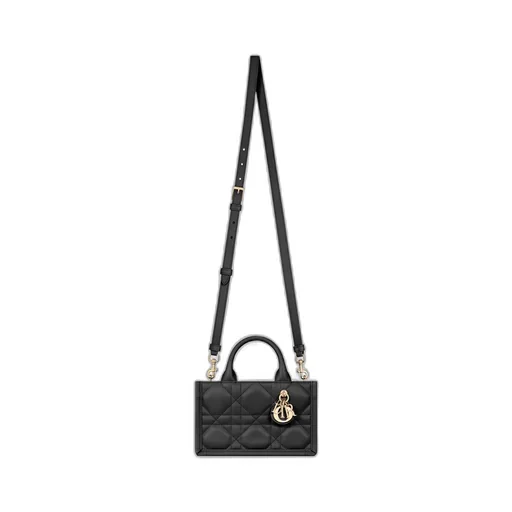 Mini Dior Book Tote