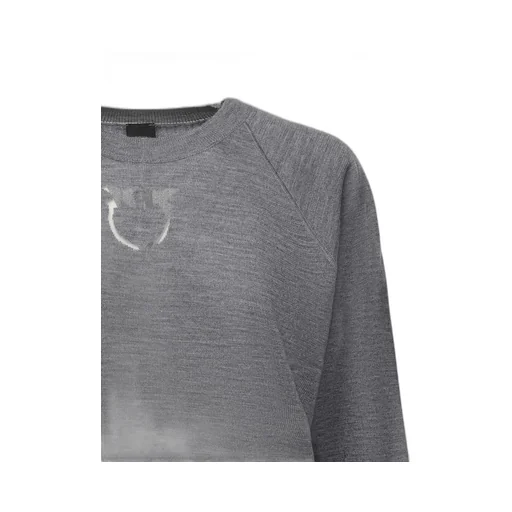 Pinko Love Birds Logo Sweater