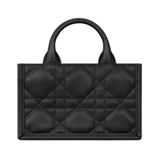 Mini Dior Book Tote