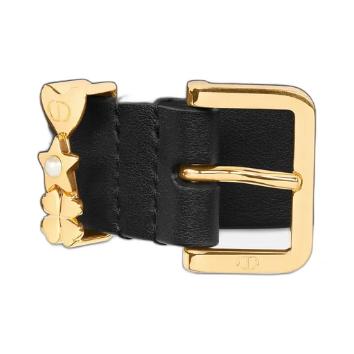 Lucky Dior Loop Belt