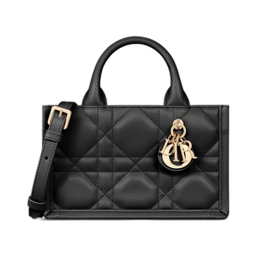 Mini Dior Book Tote