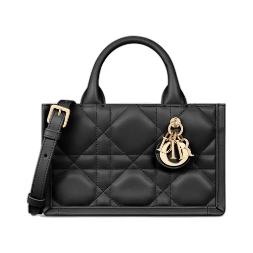 Mini Dior Book Tote