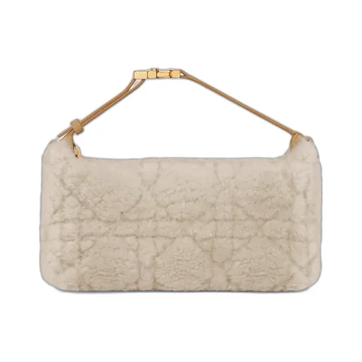 Medium Diortravel Nomad Pouch