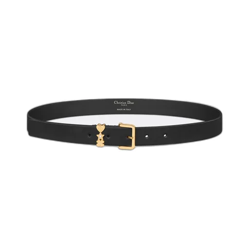 Lucky Dior Loop Belt