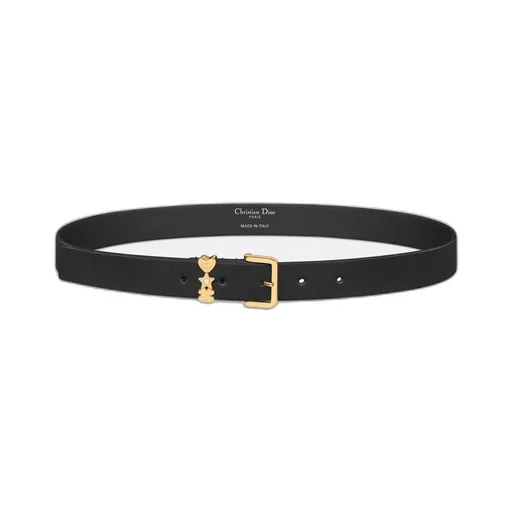 Lucky Dior Loop Belt