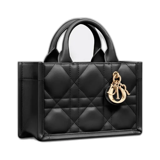 Mini Dior Book Tote