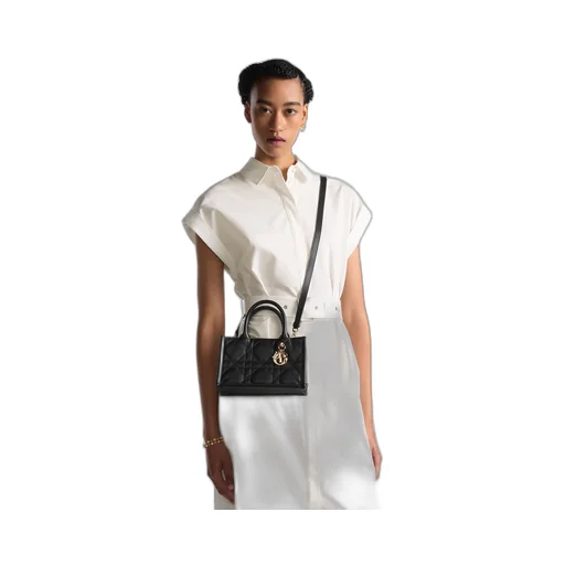 Mini Dior Book Tote