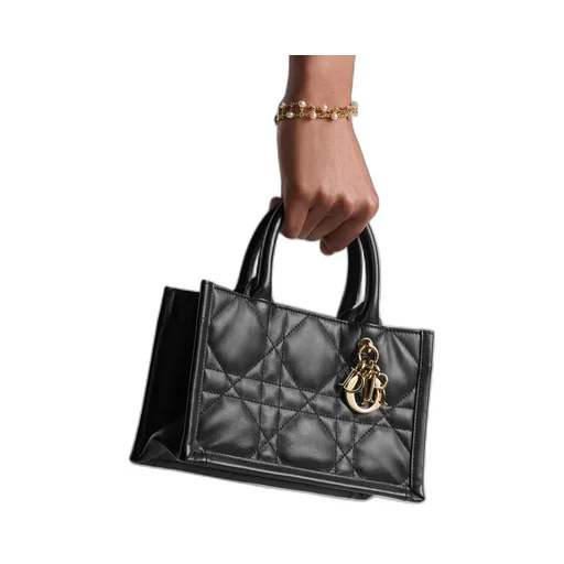 Mini Dior Book Tote