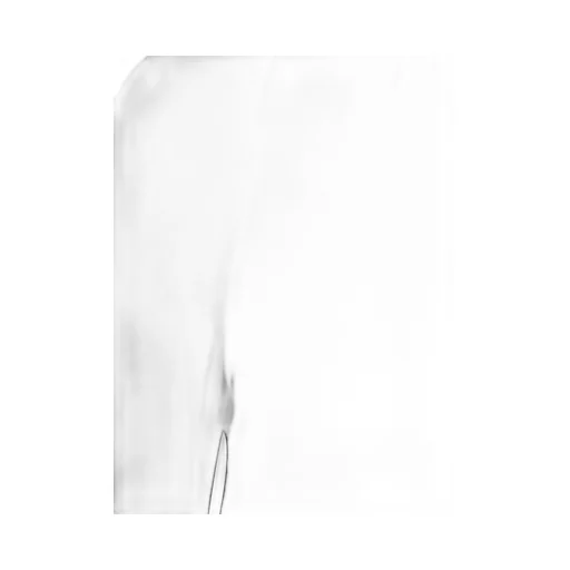 Pinko Love Birds Belt Dress