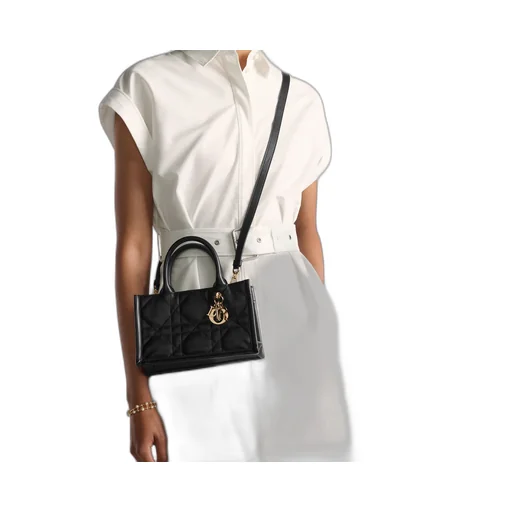 Mini Dior Book Tote