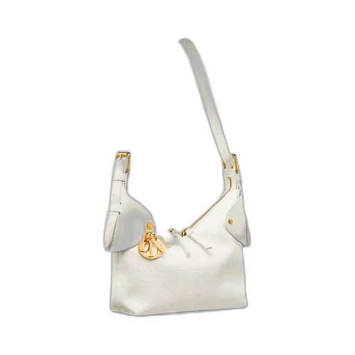 Small Dior Voyage Bag