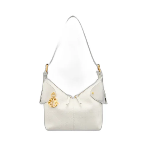 Small Dior Voyage Bag