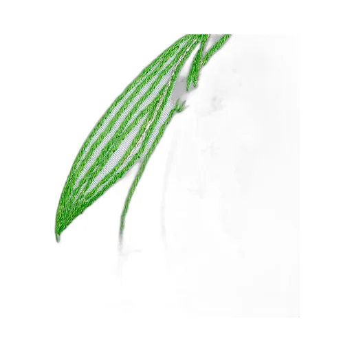 Embroidered Placemat And Napkin Set