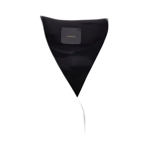 Pinko V-Neck Gitana Vest