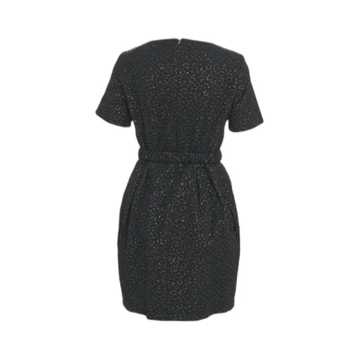 Pinko Belted Crewneck Dress