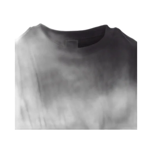 Pinko Crewneck Ruched T-Shirt