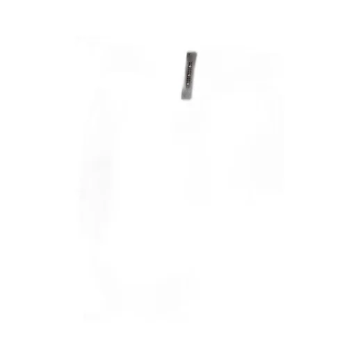 Peserico Cigarette Pants