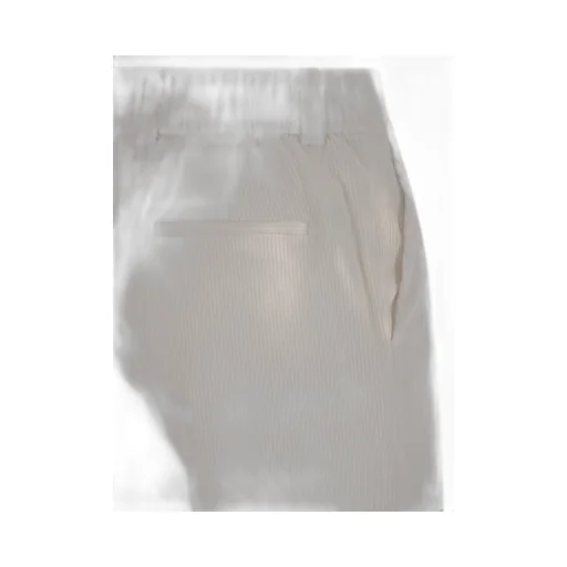 Peserico Stripe Velvet Pants