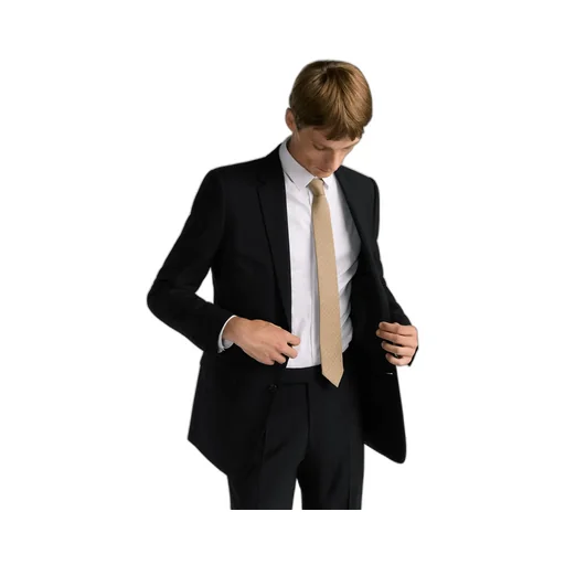 Cd Icon Tie