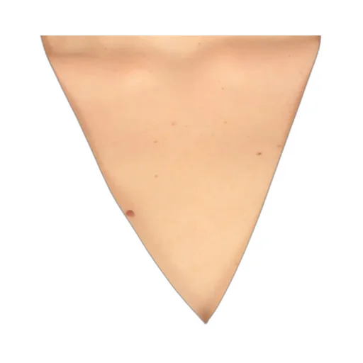 Peserico Sleeveless V-Neck Top