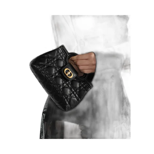 Dior Jolie Top Handle Mini Bag