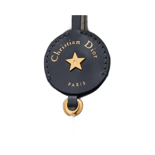 Dior Groove 25 Bag