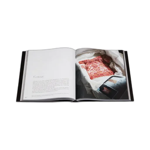 Book: Dior By Yves Saint Laurent