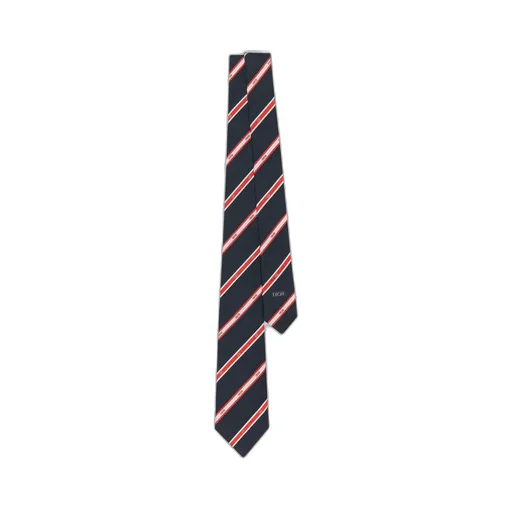 Dior Club Tie