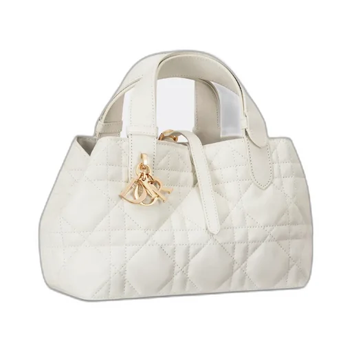 Small Dior Toujours Bag