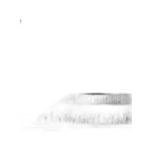 Dior Oblique Shawl