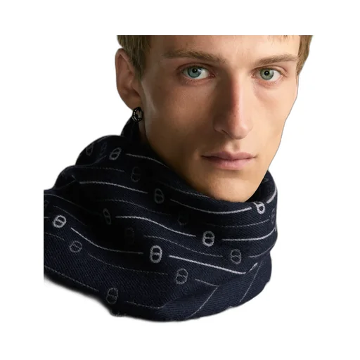Cd Icon Striped Scarf