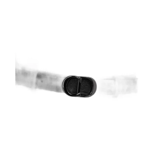 Reversible Belt Strap