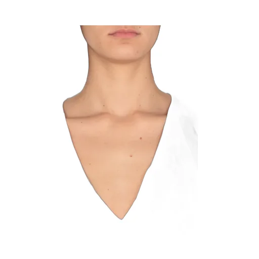 Philosophy Di Lorenzo Serafini Tulle Flower Printed Blouse