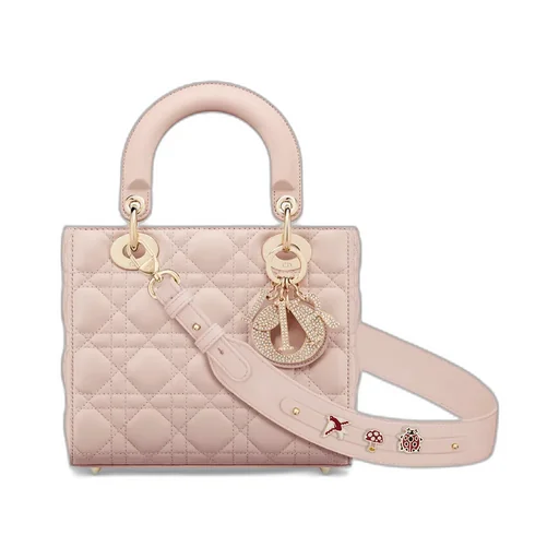 Small Lady Dior My Abcdior Bag