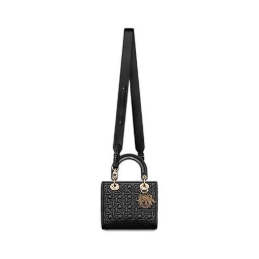 Small Lady Dior My Abcdior Bag