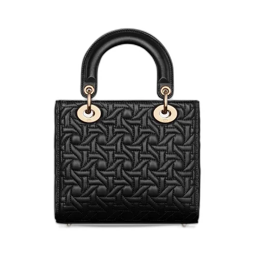 Small Lady Dior My Abcdior Bag