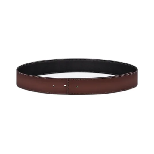 Reversible Belt Strap